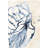 Water Shells I - Wrapped Canvas Painting-1250548242