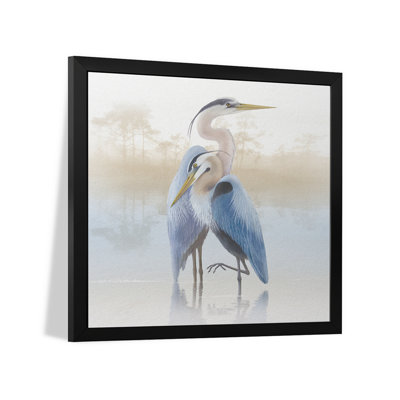 «Misty Plumage II», affiche encadrée par Steve Hunziker