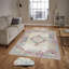 Guadalupe Oriental Area Rug-847849552