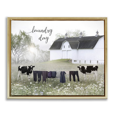 Jour de lessive avec les vaches