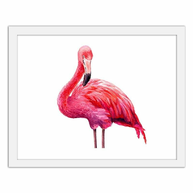 Gerahmtes Poster Realistische Illustration eines rosa Flamingos