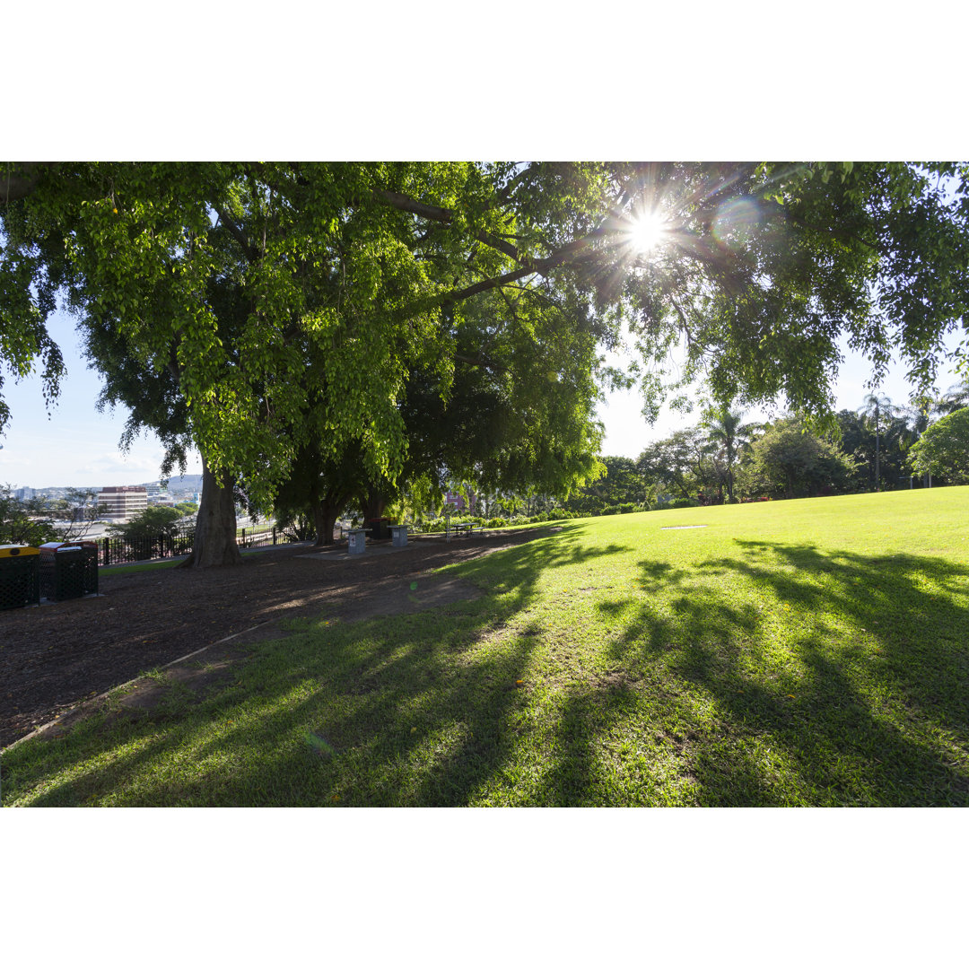 Brisbane City Park von Wx-bradwang - Druck auf Leinwand ohne Rahmen