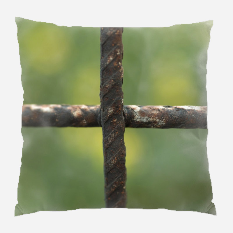 Daniel Throw Pillow
