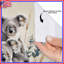 Rideaux de douche Koalas On Branch-1762366329