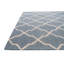Tapis bleu Odenton