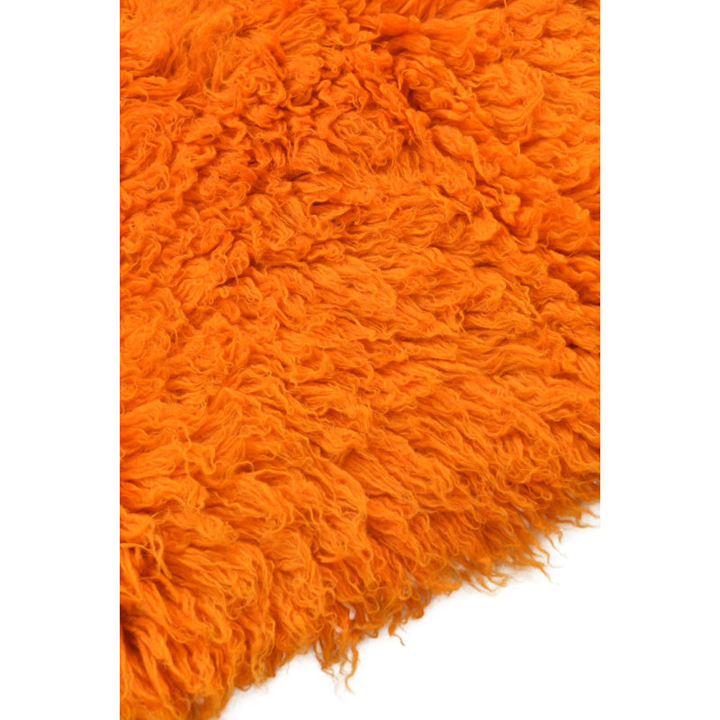 Jaynes Orange Rug