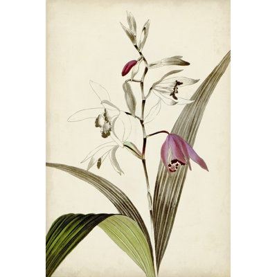 Silvery Botanicals XI 1 Piece Wrapped Canvas Painting