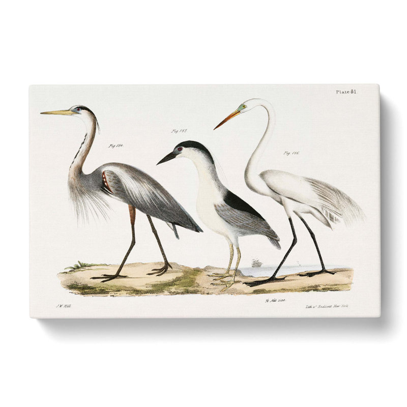 Three Herons by J.E. De Kay - Wrapped Canvas Painting, 35cm H x 50cm W x 3cm D