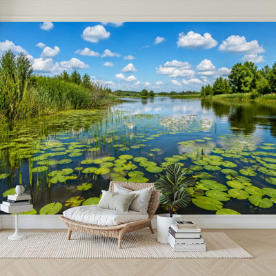 Peel and Stick Wallpaper 69" L x 96" W Modern Self Adhesive Wall Mural for Bedroom - With Airboat Ride Everglades National Park Print