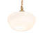 Luminaire suspendu 12 po