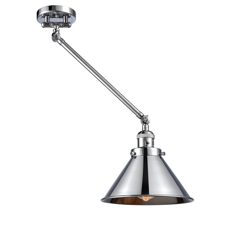 Bras pivotant à 1 lumière Paylor, Incandescent, Chrome poli, Chrome poli