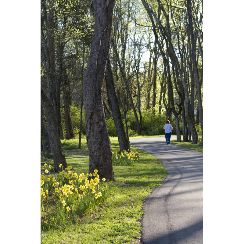 Woman Exercising by Epantha - Wrapped Canvas Print, 46cm H x 30cm W