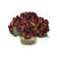 Cream Hydrangea in Rope Glass Vase-329598714