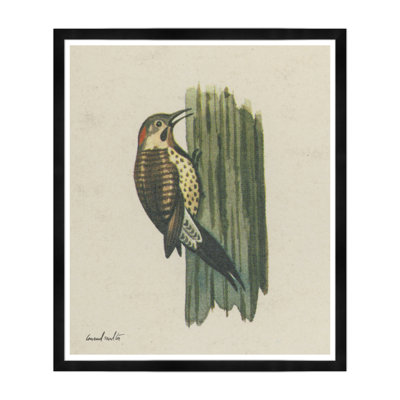 Woodpecker Print