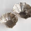 Ostra Decorative Bowls-849457863