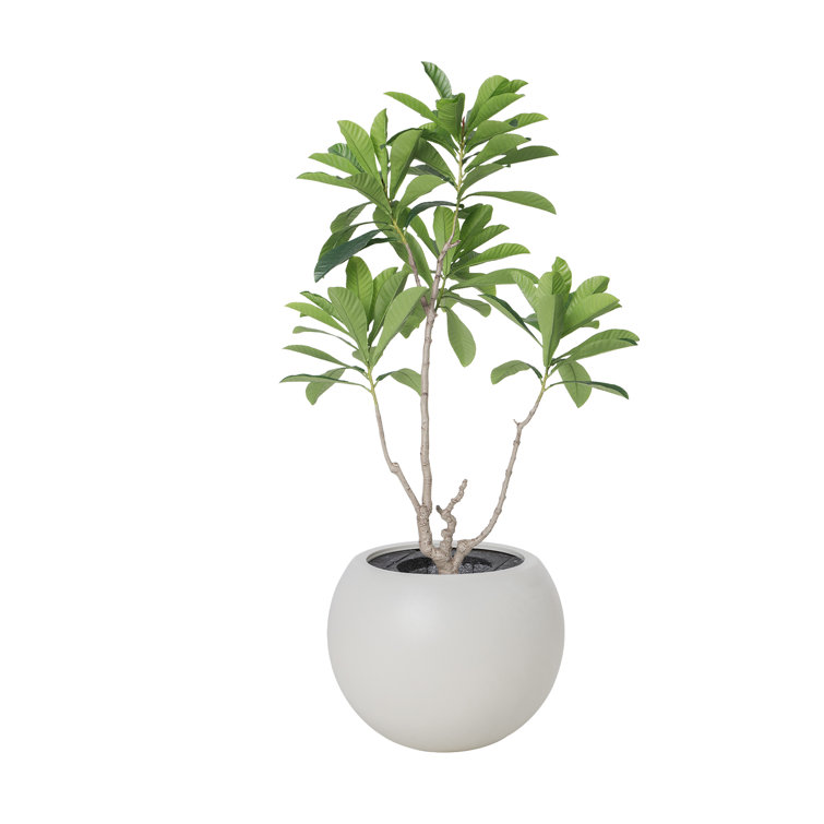 Vintage Home Artificial Japanese Blueberry Tree In A White