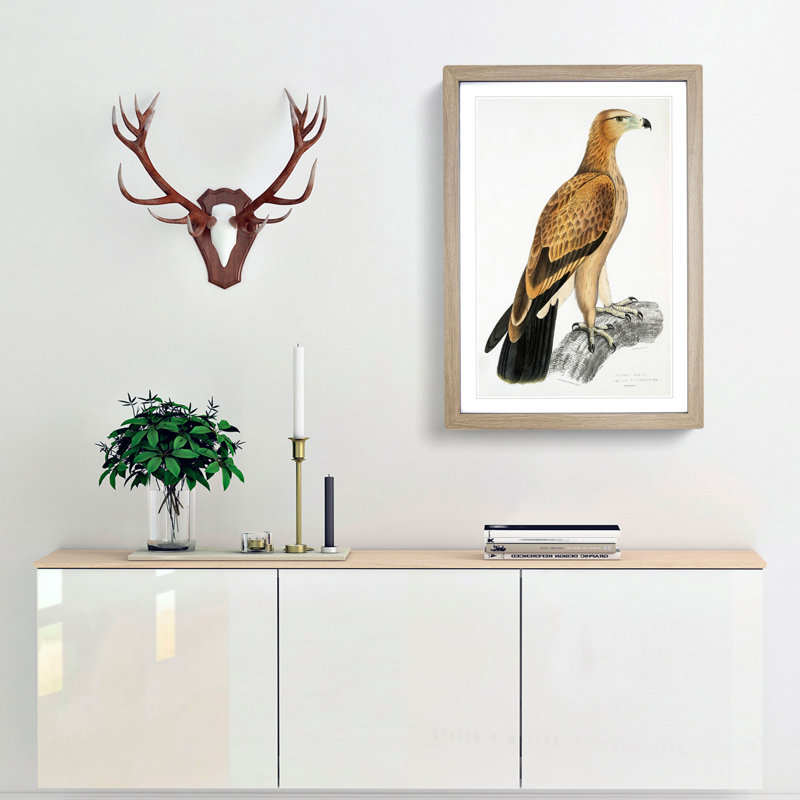 Tawny Eagle by John Edward Gray - Picture Frame Graphic Art Print, 65cm H x 48cm W x 2cm D, Oak Framed