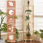 Étagère d'angle à 5 niveaux, naturel | Bibliothèque d'angle en bois pour petits espaces, tablette d'angle avec base robuste à 5 pieds pour la salle de bain