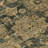 Floral Indoor / Outdoor Rug-1505786847