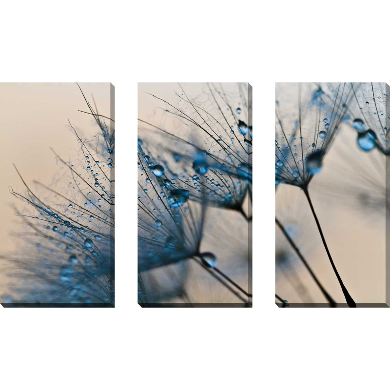 «Flower Water Droplets 2» - 3 pièces, reproduction de photo sur toile tendue