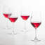Forte 17 oz. Crystal Goblet