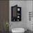 Vina Medicine Cabinet With Mirror Door 29" High Cabinet Organizer With Three Concealed Shelves And Two Open Shelves  For Bathroom, Kitchen, Mudroom-2019139166