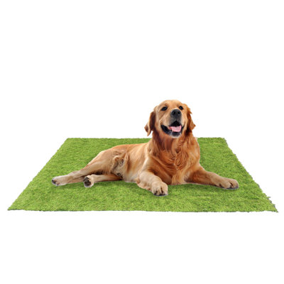Dakota Fields Outdoor UV Resistant Artificial Grass Set of 5