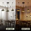 3 - Light Dome Pendant-910698949