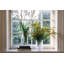  Woodbury Vase-156247819
