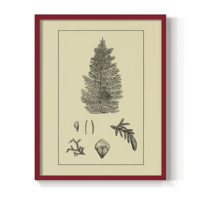 Arbor Study I Framed Print - Solid Wood, 15" H x 12" W, Red