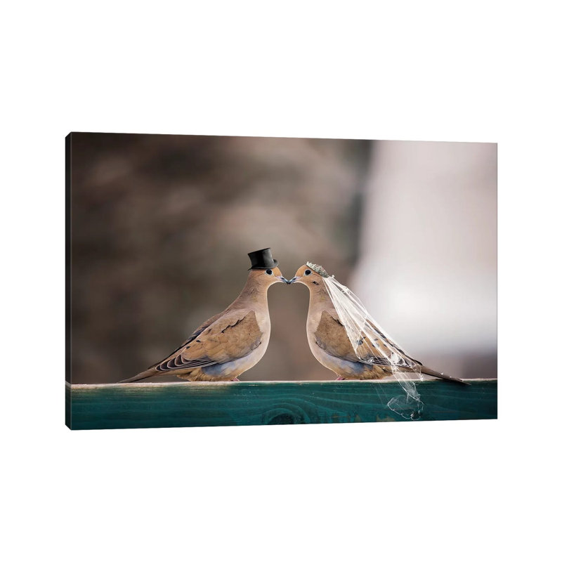 Mourning Dove Wedding by Karen Burke - Wrapped Canvas Print