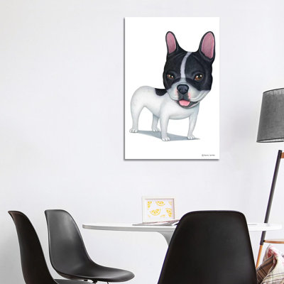 Bouledogue français blanc et noir