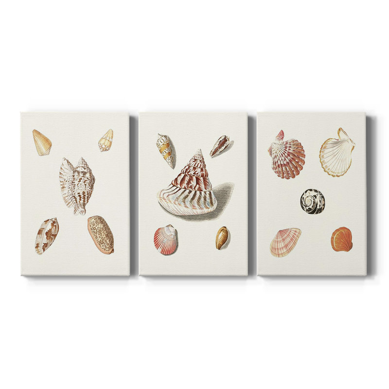 Pastel Knorr Shells VI - Toile tendue sur mesure avec châssis - 3 pièces, H 48 po x l 96 po