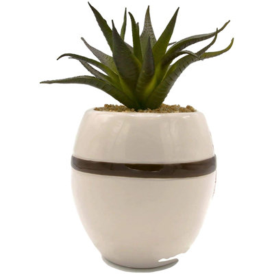 Plante grasse artificielle 7,59 po en pot