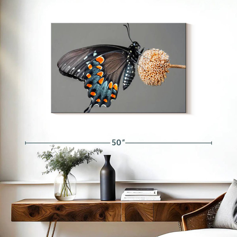 Papillon machaon noir Brampt