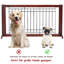 Lundeen Wood Free Standing Pet Gate