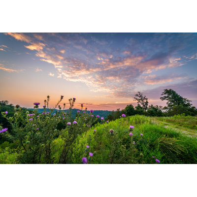 Lasey Sunset Over Purple Thistle - Wrapped Canvas Print