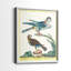 Pastel Birds III - reproduction encadrée de qualité supérieure - prête à être accrochée - aucun clou requis - aucun clou requis-686838244-686838264