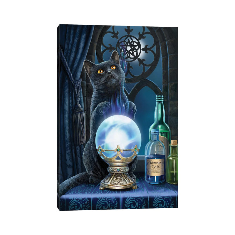 The Witches Apprentice by Lisa Parker - Wrapped Canvas Print, 20.32 cm H x 30.48 cm W