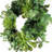 18" Mixed Succulent Eucalyptus Wreath