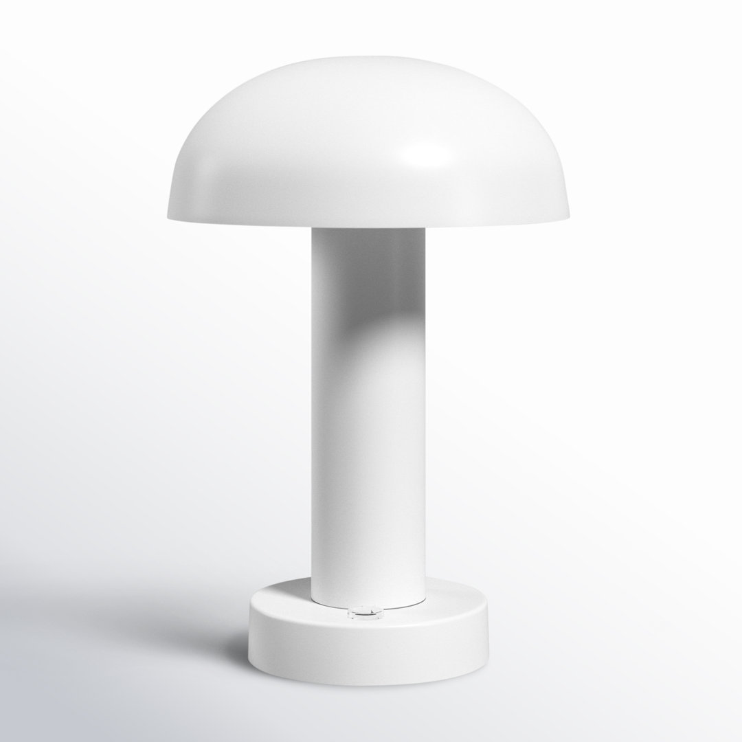 Zimmerman Metal Novelty Lamp AllModern