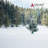 Christmas Live Tree Stand-101936566