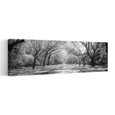 Live Oaks And Spanish Moss Wormsloe State Historic Site Savannah Ga Abstract Contemporary Oak Tree Moss Landscape Nature Wall Art