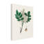 Art sur toile, botanique, bolognaise, John Stephenson-103100447