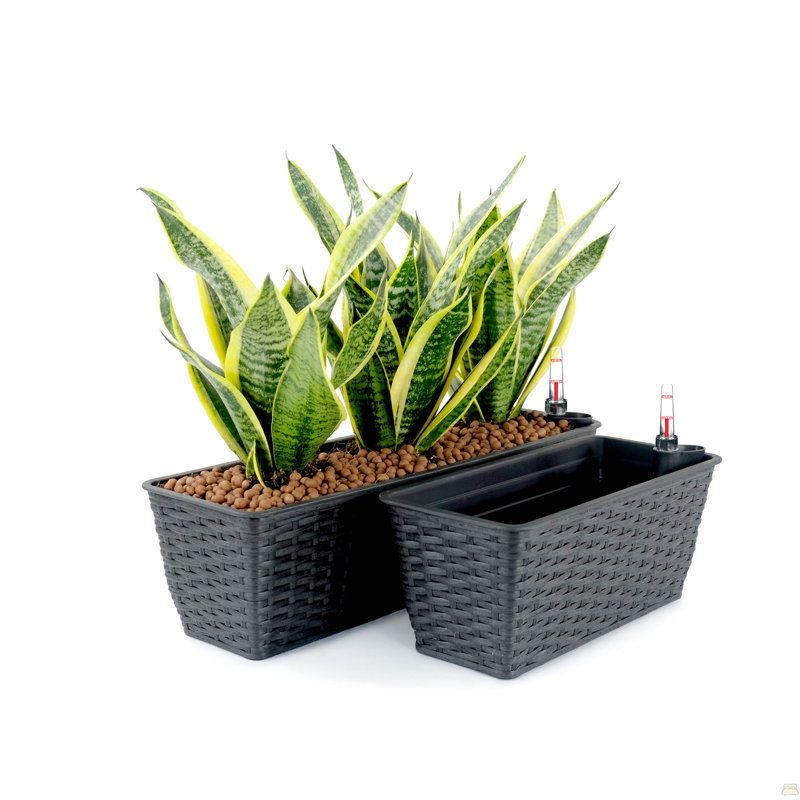 Ensemble de 2 pots à fleurs rectangulaires intelligents pour l'intérieur et l'extérieur - Osier tissé à la main - Espresso