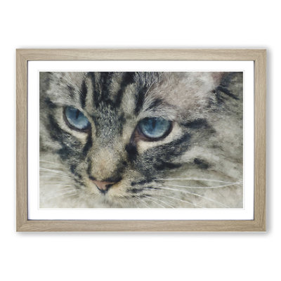 Portrait of a Cat Vol.14 - Framed Print