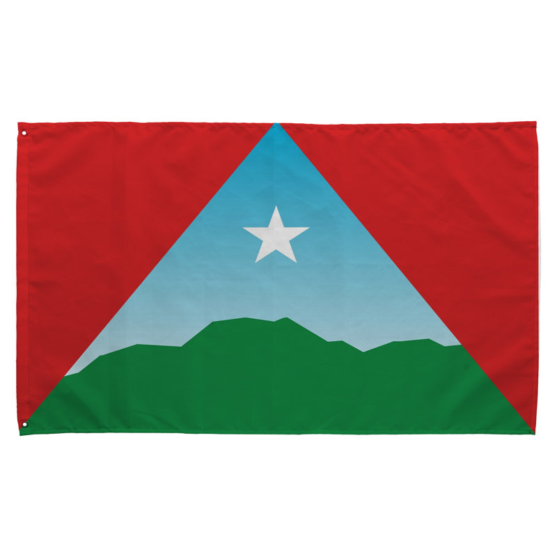 Drapeau de la ville de Caracas — Drapeau