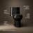 Adair 1.28 GPF Water Efficient Elongated One-Piece toilet (Seat Included)-10397017-65043899