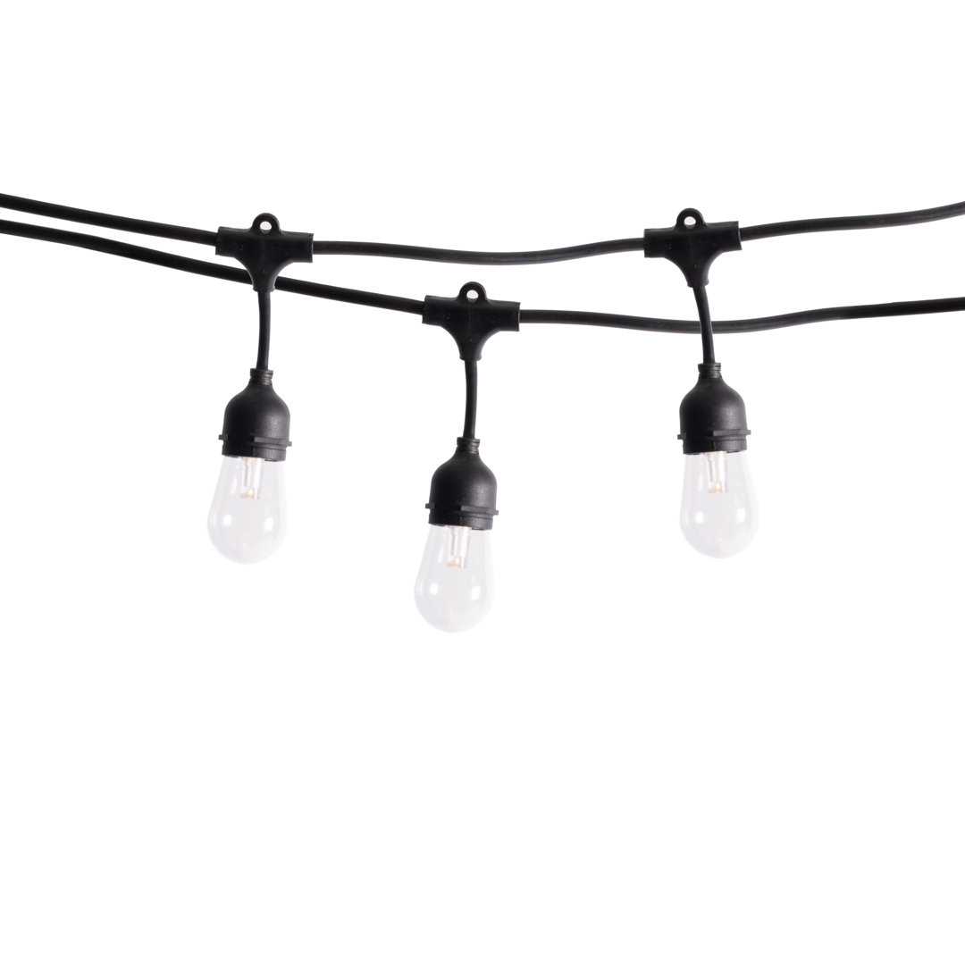 Leonor Outdoor 12 - Bulb 24'' Plug-in LED Globe String Light The Holiday Aisle®