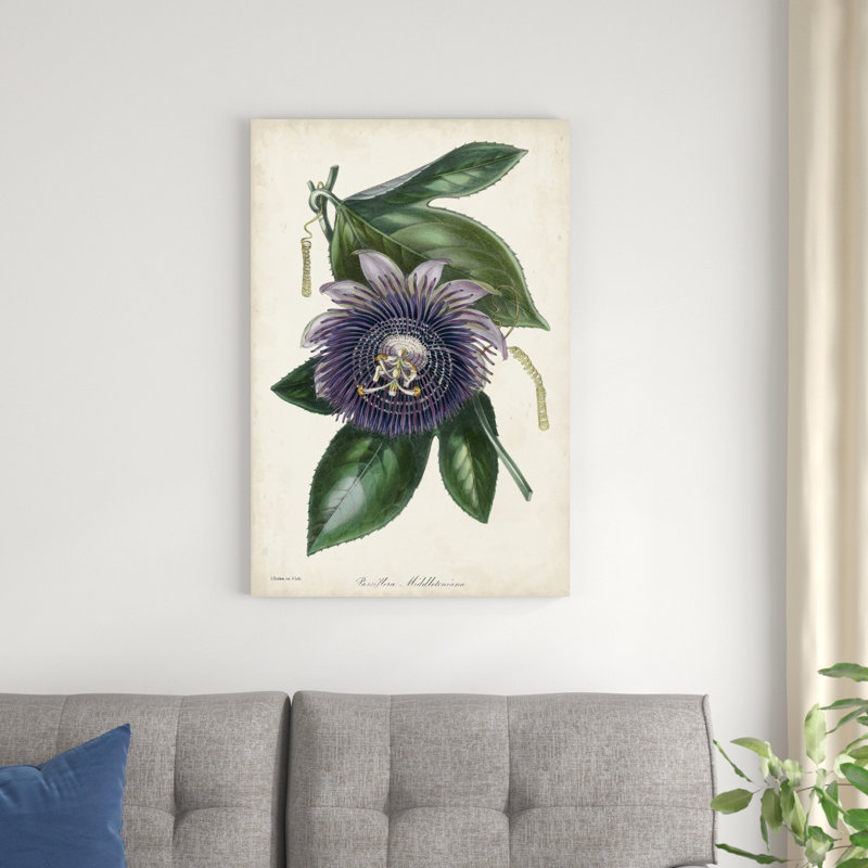 Prune fleur de la passion, H 36 po x l 24 po x P 1,25 po